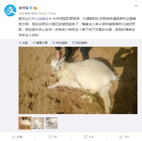 支付宝蚂蚁森林抓获两只小贼 网友回复亮了